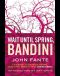 [The Saga of Arturo Bandini 01] • Bandini - 02 - Wait Until Spring, Bandini